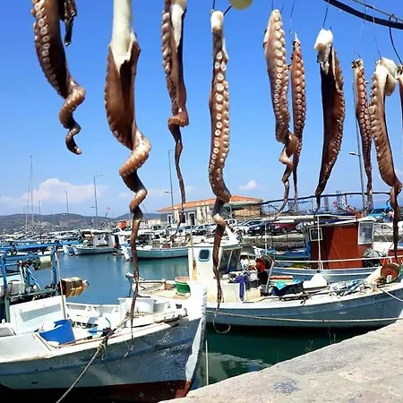 Σπίτι διακοπών Evgenia's *