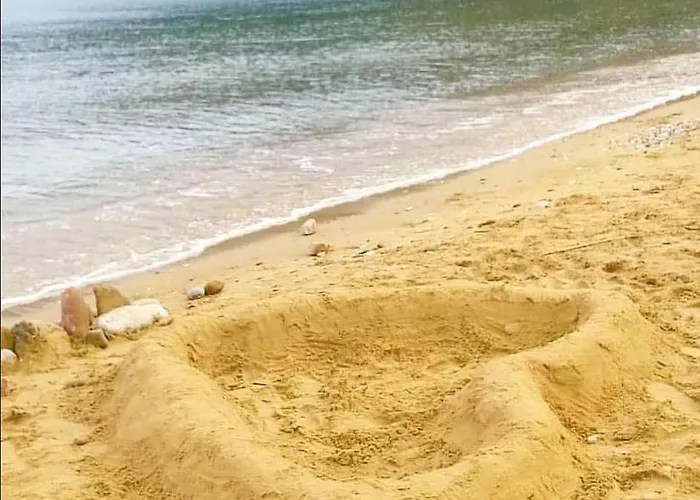 Evgenia's * Неон-Оитилон